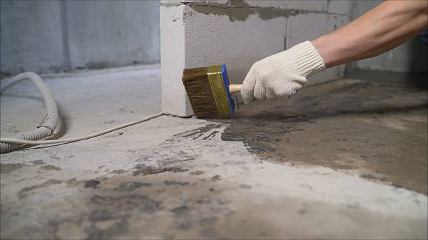 Top rated local Wet Basement Repair specialists in Goodrich, MI