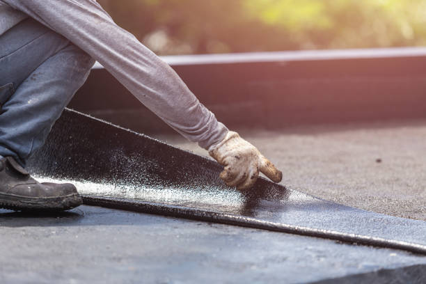 Professional Wet Basement Repair technician working in Goodrich, MI